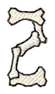 Picture of Bones Number 2 Machine Embroidery Design