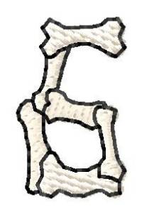 Picture of Bones Number 6 Machine Embroidery Design