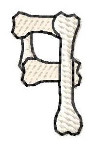Picture of Bones Number 9 Machine Embroidery Design