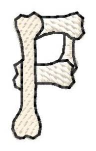 Picture of Bones Letter P Machine Embroidery Design
