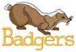 Picture of Badgers Machine Embroidery Design