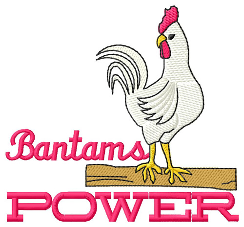 Bantams Power Machine Embroidery Design