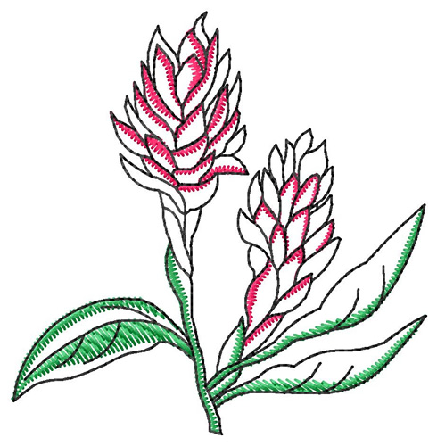 Ginger Machine Embroidery Design