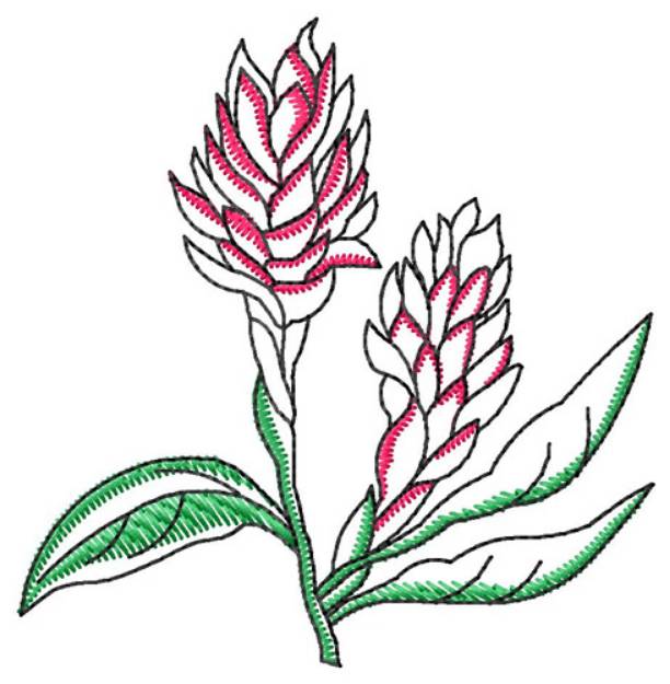 Picture of Ginger Machine Embroidery Design