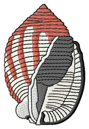 Scotch Bonnet Shell Machine Embroidery Design