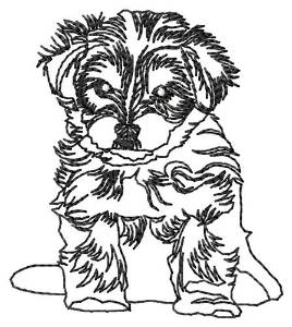 Picture of Morkie Outline Machine Embroidery Design