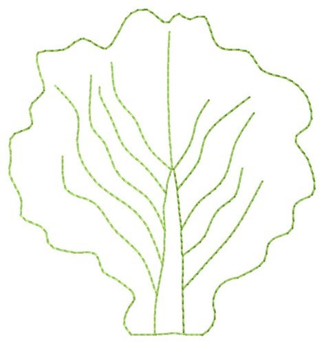 Lettuce Machine Embroidery Design
