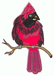 Picture of Applique Cardinal Machine Embroidery Design