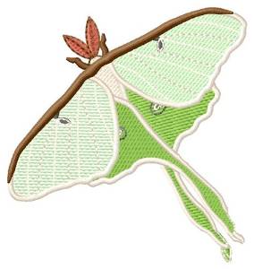 Picture of Luna Moth Machine Embroidery Design