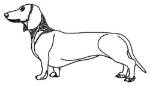 Picture of Dachshund Outline Machine Embroidery Design