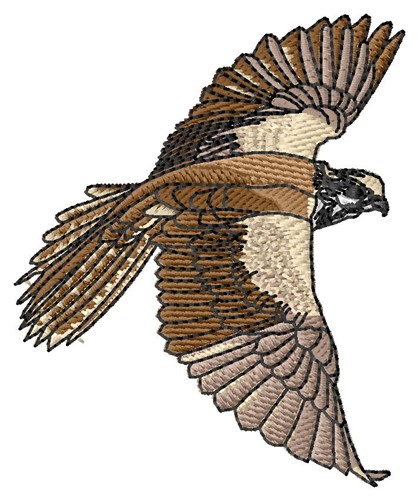 Falcon Machine Embroidery Design