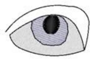 Picture of One Blue Eye Machine Embroidery Design