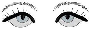 Picture of Hooded Eyes & Eyebrows Machine Embroidery Design