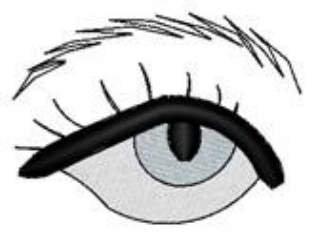 Picture of Hooded Eye & Eyebrow Machine Embroidery Design