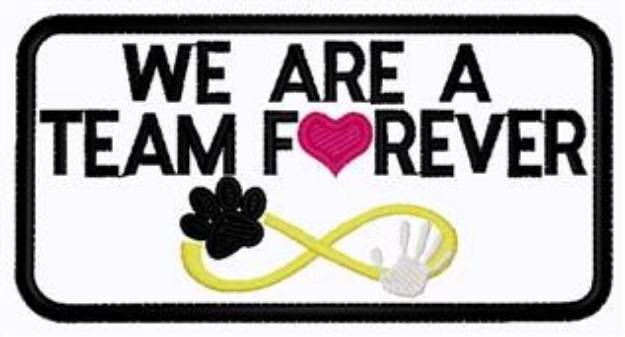 Picture of Team Forever Patch Machine Embroidery Design