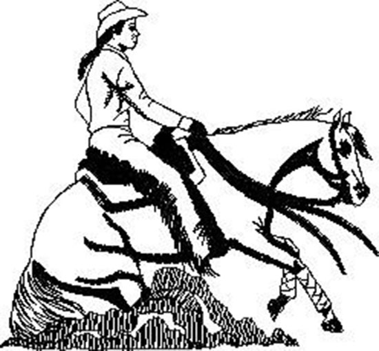 Rodeo Horse Machine Embroidery Design