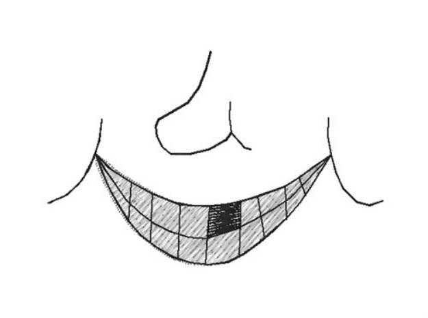 Picture of Toothless Smile Face Mask Machine Embroidery Design