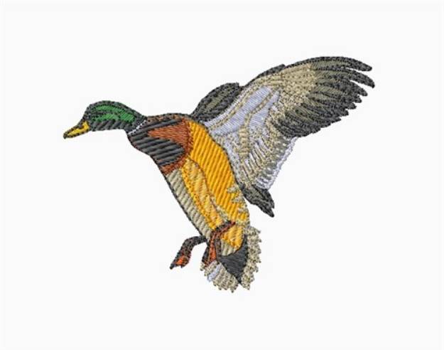 Picture of Male Duck Machine Embroidery Design