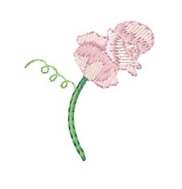 Picture of Sweet Pea Flower Machine Embroidery Design
