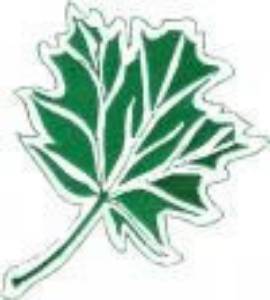 Picture of 2" Leaf Machine Embroidery Design