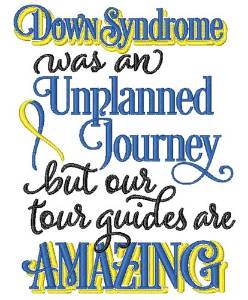 Picture of Down Syndromes Journey Machine Embroidery Design