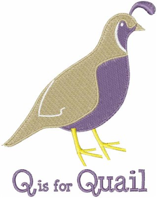 Q Is For Quail Machine Embroidery Design