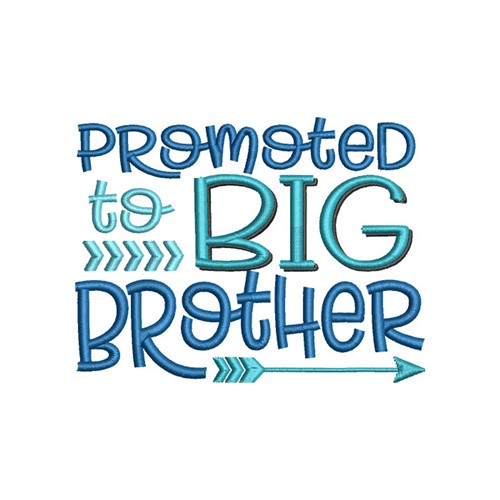 Promoted Big Brother Machine Embroidery Design