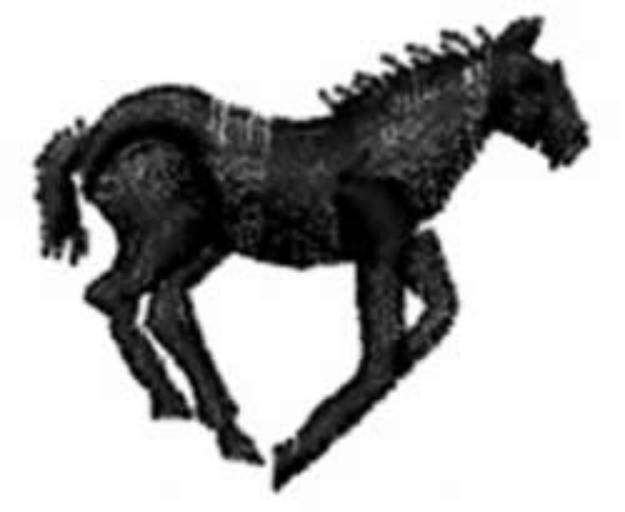 Picture of HORSE Machine Embroidery Design