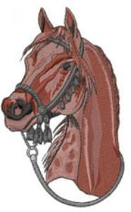 Picture of HORSE-ARABIAN Machine Embroidery Design