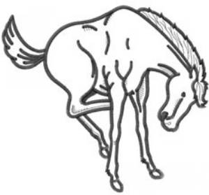 Picture of BUCKING HORSE Machine Embroidery Design