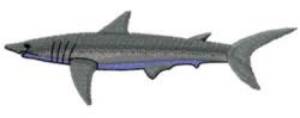 Picture of SHARK Machine Embroidery Design