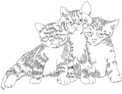 THREE KITTENS Machine Embroidery Design