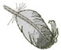 Feather Machine Embroidery Design