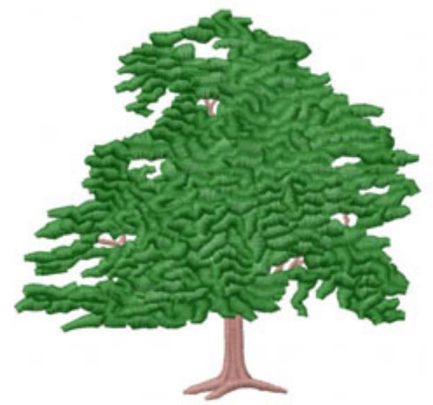 Picture of LARGE OAK TREE Machine Embroidery Design