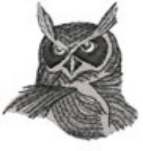 Picture of OWL HEAD Machine Embroidery Design