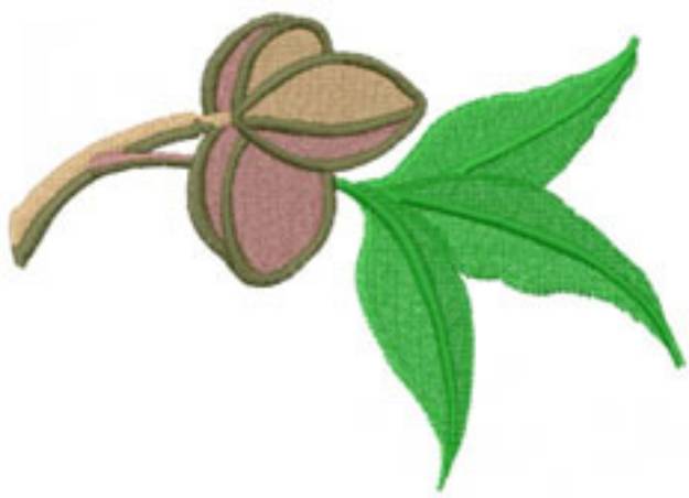 Picture of PECANS Machine Embroidery Design