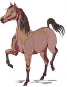 Picture of Show Horse Machine Embroidery Design