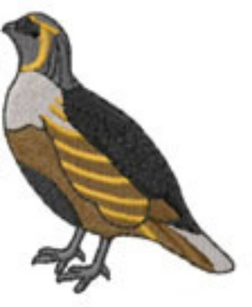 Picture of GAMBELS QUAIL Machine Embroidery Design