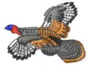 Picture of TURKEY FLIGHT Machine Embroidery Design
