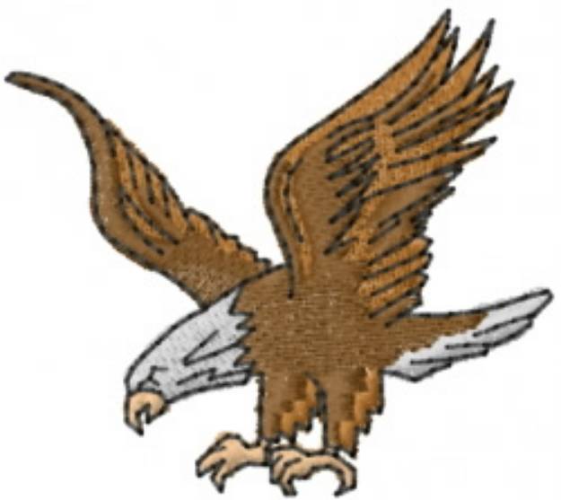 Picture of American bald eagle Machine Embroidery Design