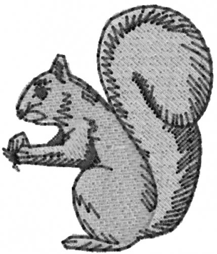 Squirrel and nut Machine Embroidery Design