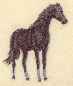 Picture of Horse Standing Small Machine Embroidery Design