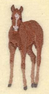 Picture of Colt Facing Forward Small Machine Embroidery Design