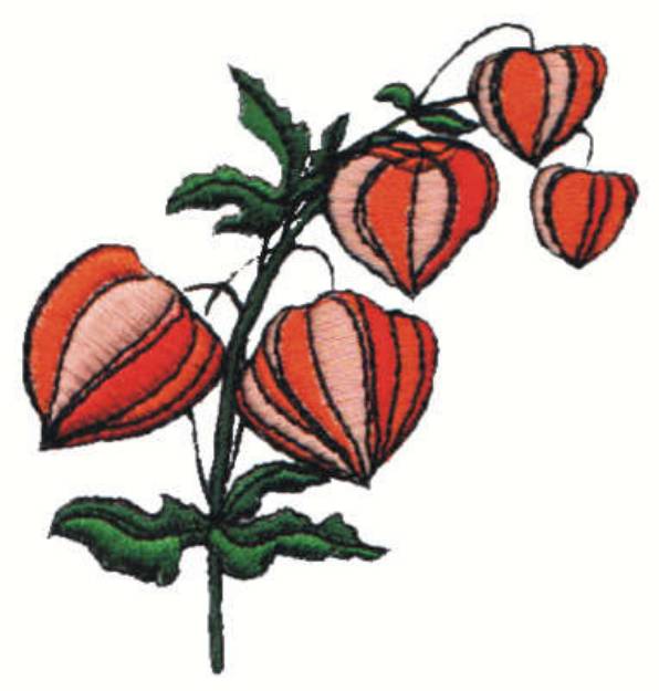 Picture of Chinese Lantern Machine Embroidery Design