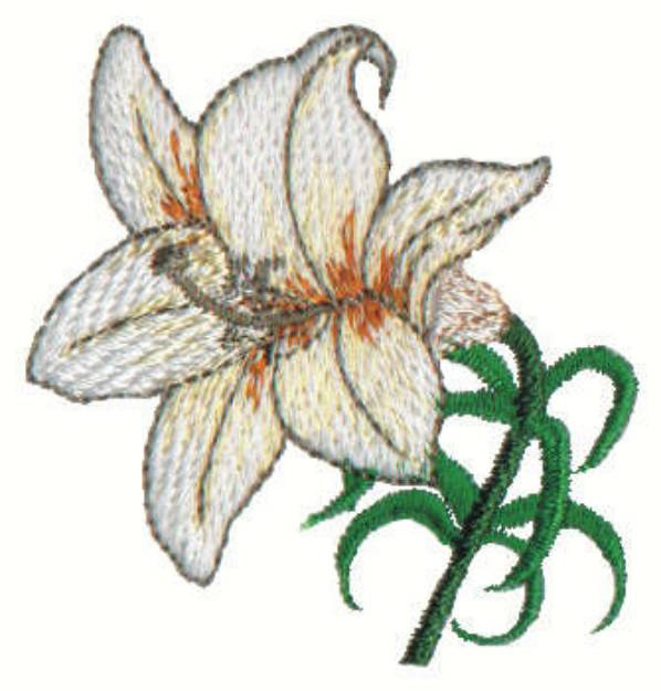 Lily Machine Embroidery Design  Embroidery Library at