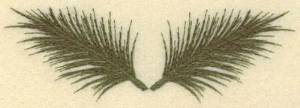 Picture of Two Palm Fronds Machine Embroidery Design