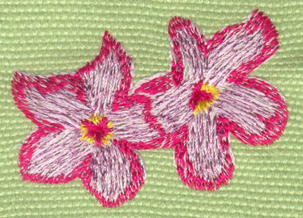 Picture of Two Heavenly Hibiscus 2 Machine Embroidery Design
