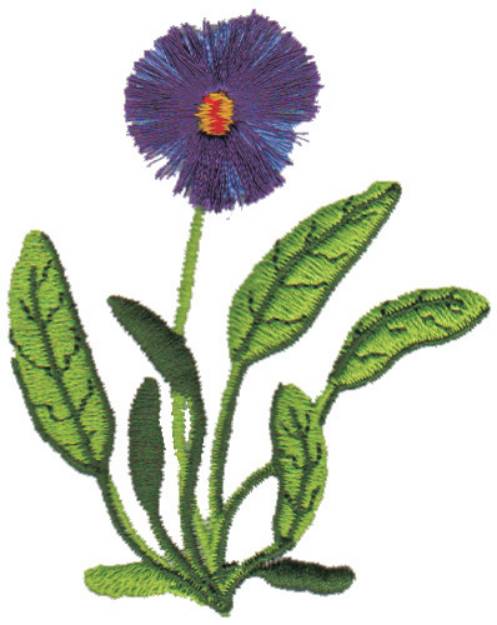 Picture of Violet Machine Embroidery Design