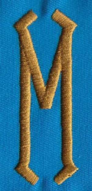 Picture of PM Center M Machine Embroidery Design