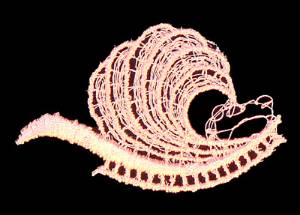 Picture of Lace Shell Machine Embroidery Design
